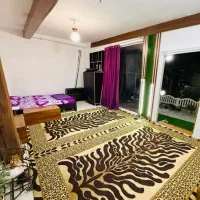 سوییت|اجارهٔ کوتاه‌مدت آپارتمان و سوئیت|جویبار, |دیوار