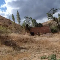 فروش زمین باغ ویلا