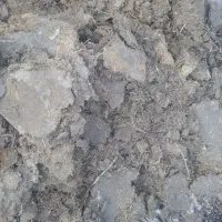 کود مرغی و بوقلمون