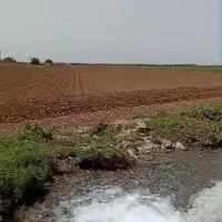 زمین کشاورزی