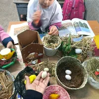 آموزگار ابتدایی