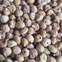 انجیر شاهی|عمده‌فروشی|خمینی‌شهر, |دیوار