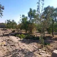 چهاردیواری از ۲۰۰متر تا ۸۰۰متری