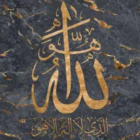 کیف مدارک گمشده