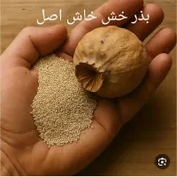 تخم درجه یک