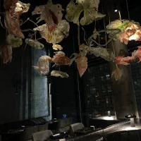 استخدام باریستا و سالن کار