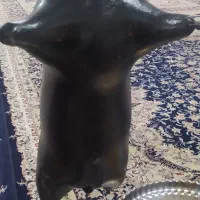 هیزه|ظروف نگهدارنده، پلاستیکی، یک‌بارمصرف|جوانرود, |دیوار