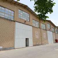 حسابدار خانم