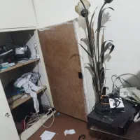 اآباژور ایستاده