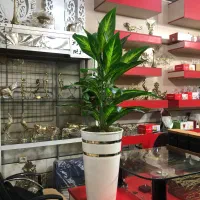 گل کنار سالنی مصنوعی|گل مصنوعی|اسلامشهر, شهرک امام حسین (میان آباد)|دیوار