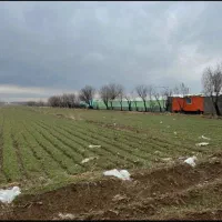 یک هکتار سندار برجاده قدیم هشتگرد|فروش زمین و ملک کلنگی|هشتگرد, ینگی امام|دیوار