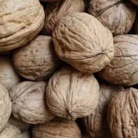 گردو، مال امسال به صورت هزاری به فروش میرسد