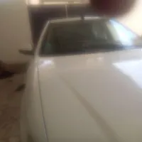 سمندسفیدتمام.رنگ