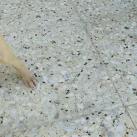 سگ پیتبول|سگ|شیراز, ستارخان|دیوار