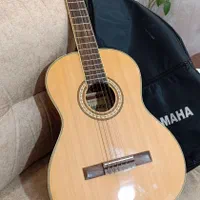 گیتار|گیتار، بیس، امپلیفایر|شاهرود, |دیوار