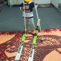 چوب اسکی اتمیک