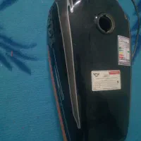 یک عدد کفتر سفیدهفت رنگ گمشده درمحدوده حافظ 5