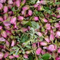گل محمدی|گل و گیاه طبیعی|بیجار, |دیوار
