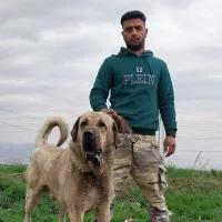 تابلو فرش و انواع فرشینه سوگند|تابلو فرش|گرمسار, |دیوار