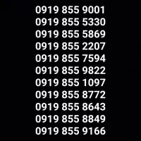 09198555330