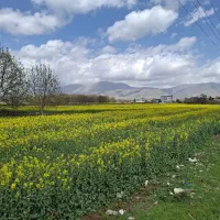 تور گردشگری|تور و چارتر|خرم‌آباد, |دیوار