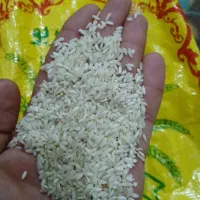 برنج عنبر بوه شوشتر