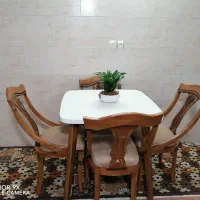 میزنهارخوری سناتور