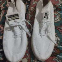 دو عددکفش در حد