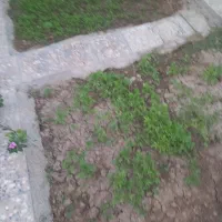 کارگر پاره وقت