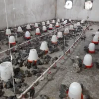 نیروی فعال و با اخلاق