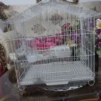 یک عددقفصه،مرغ عشق|لوازم جانبی حیوانات|نقده, |دیوار