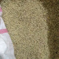 عدس خلخال|عمده‌فروشی|رشت, سلیمانداراب|دیوار