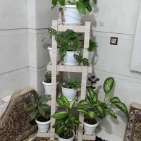 استند.چوبی گل|کتابخانه، شلف، قفسه‌های دیواری|اسدآباد, |دیوار