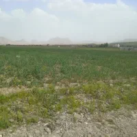 زمین ویلایی