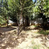 ( معنی فول رو با این ویلا درک میکنید ) ۵۰۰ متر|فروش خانه و ویلا|ماهدشت, |دیوار