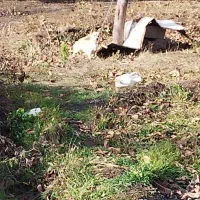 واگذاری پاکوتا