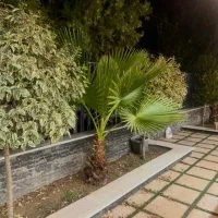 ویلایی جنوبی غربی مخابرات تهاتر با آپارتمان