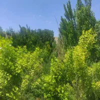 معاوضه زمین با خودرو