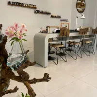 اجاره لاین ناخن مژه فشیال رنگ