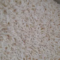 برنج فجر سوزنی