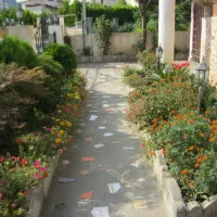 ویلا با ویوی عالی کلارآباد