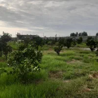 فروش-باغ-با-انشعابات-اختصاصی