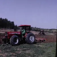 اجاره زمین کشاورزی دیم شخم زده شده