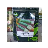 بهترین رقم های کدو خورشتی خارجی|حراج|جیرفت, |دیوار