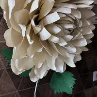 گل دیواری چراغدار (بلندر)