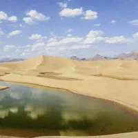 تور گردشگری|تور و چارتر|مشهد, آزادشهر|دیوار