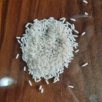 برنج هاشمی حسنی