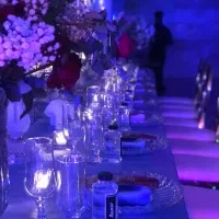 اجاره روف گاردن و سالن برای عروسی،عقدونامزدی،تولد|خدمات پذیرایی، مراسم|تهران, پونک|دیوار