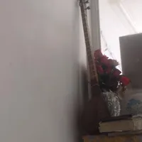 سه تار نو