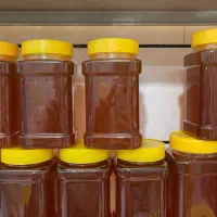 عسل طبیعی گون و آویشن اردبیل